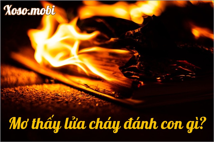 Phân tích hiện tượng mơ thấy lửa là điềm gì đối với hậu vận Phân tích hiện tượng mơ thấy lửa là điềm gì đối với hậu vận