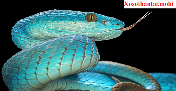 Chiêm bao thấy rắn cắn và điềm báo may mắn