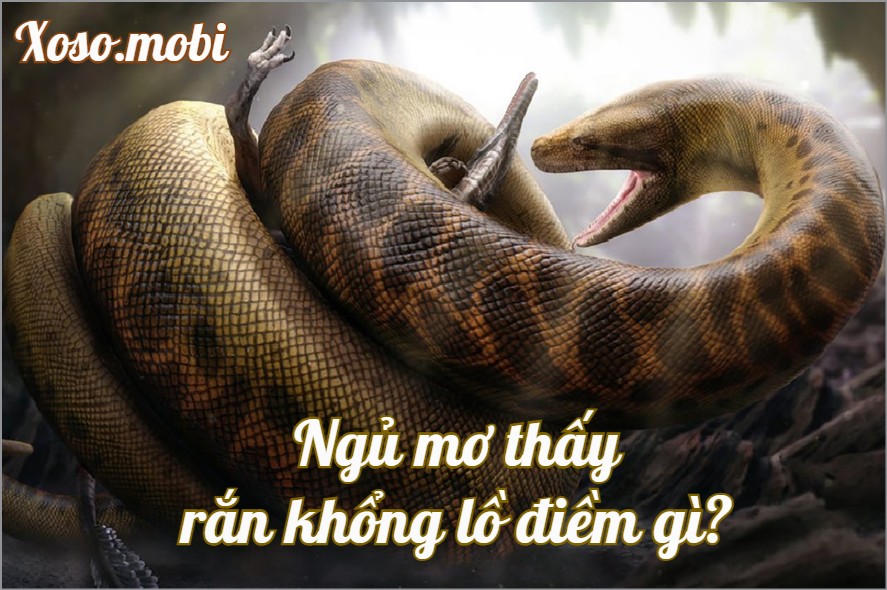 Giải mã giấc mơ thấy rắn khổng lồ là điềm gì?