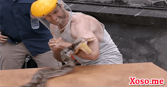 Điềm báo sức khỏe với giấc mơ trăn cắn tay Điềm báo sức khỏe với giấc mơ trăn cắn tay