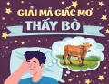 Mơ thấy con bò – Chiêm bao thấy con bò đánh con gì?