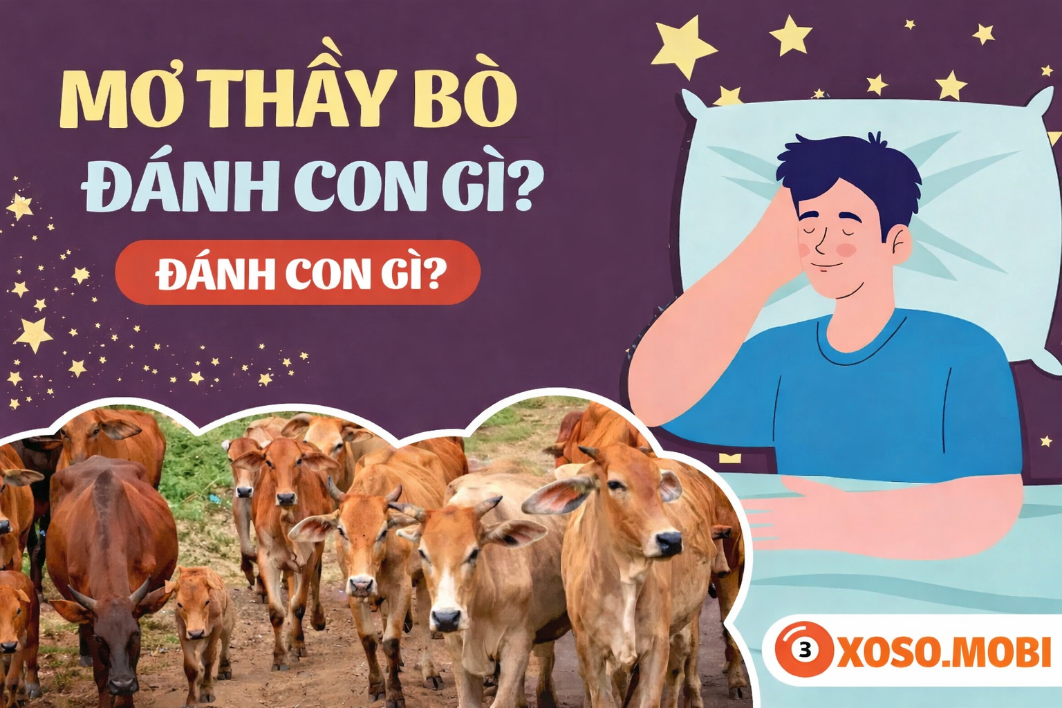 Chiêm bao thấy con bò đánh con gì kéo vận tài lộc
