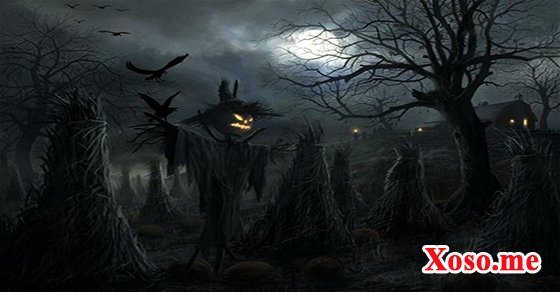 Ngủ mơ thấy cả đàn quạ bay qua là có điềm tang khó