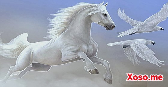 Nếu mơ thấy con ngựa trắng là vận may đến với bạn