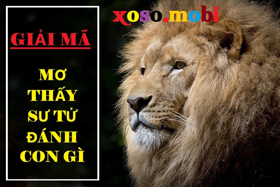 Mơ thấy sư tử đánh số gì để gặp vận tài lộc