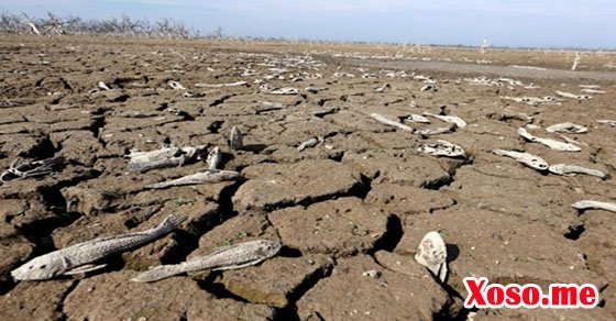 Mơ thấy sông ngòi khô cạn nước là gặp khó khăn