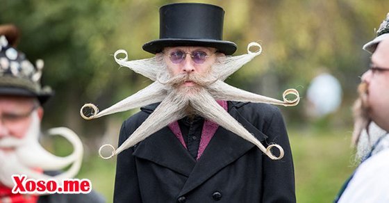 Mơ thấy râu bạc trắng là gia đạo sa sút Mơ thấy râu bạc trắng là gia đạo sa sút