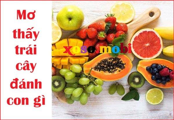 Tìm hiểu chiêm bao thấy trái cây là điềm gì trong cuộc sống Tìm hiểu chiêm bao thấy trái cây là điềm gì trong cuộc sống