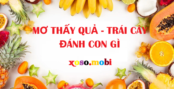 Giải mã mơ thấy trái cây đánh số mấy để gặp may mắn Giải mã mơ thấy trái cây đánh số mấy để gặp may mắn