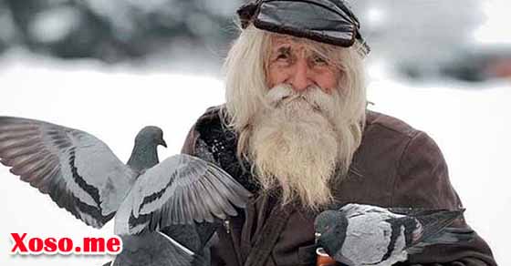 Mơ thấy ông già gặp mình là điềm báo tốt