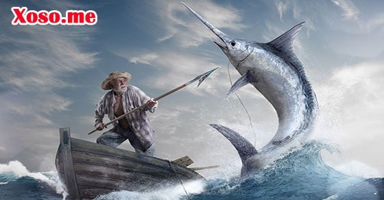 Mơ thấy ông cụ già câu cá là có tài lộc, danh vọng Mơ thấy ông cụ già câu cá là có tài lộc, danh vọng