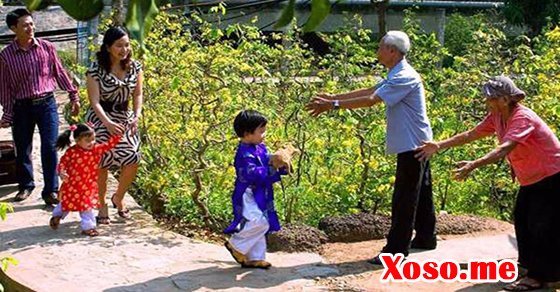 Mơ thấy con cháu ở xa về là cô đơn Mơ thấy con cháu ở xa về là cô đơn