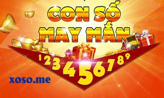 Mơ thấy lái ô tô đánh con gì Mơ thấy lái ô tô đánh con gì