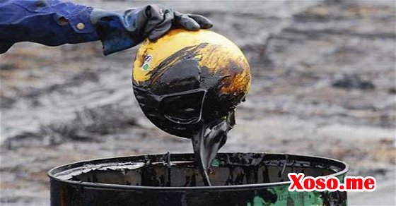 Mơ thấy dầu là điềm báo xui xẻo Mơ thấy dầu là điềm báo xui xẻo