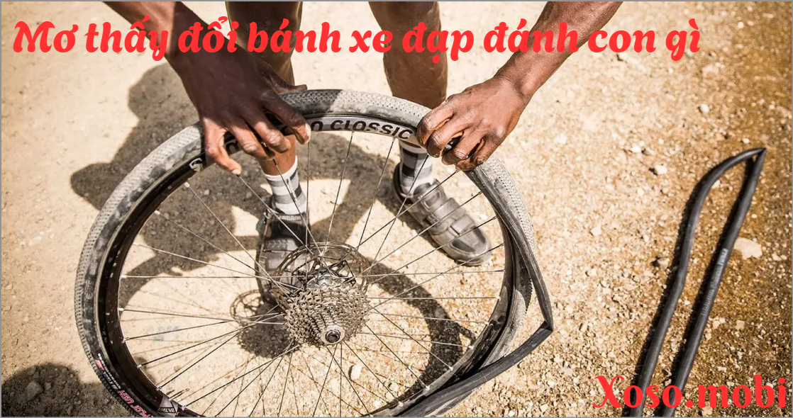 Tìm hiểu mơ thấy thay bánh xe đạp đánh con gì để phát tài Tìm hiểu mơ thấy thay bánh xe đạp đánh con gì để phát tài