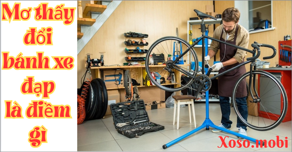 Giải mã điềm báo giấc mơ đổi bánh xe đạp Giải mã điềm báo giấc mơ đổi bánh xe đạp