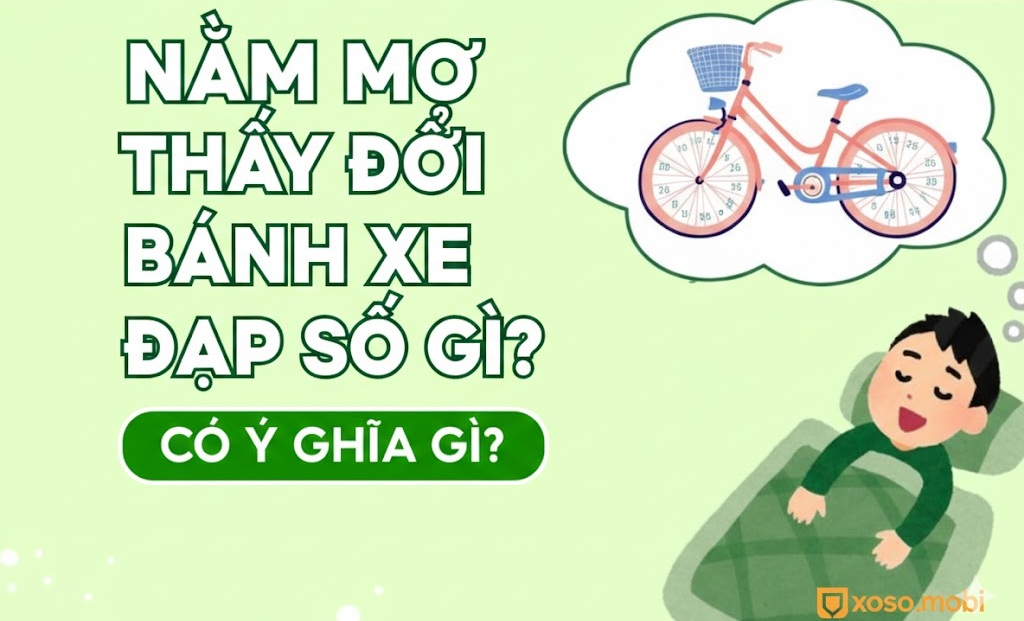Giải mã điềm báo giấc mơ đổi bánh xe đạp