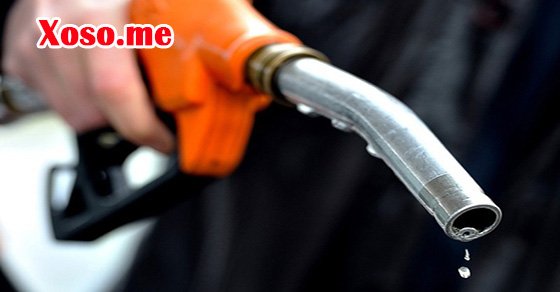 Chiêm báo thấy xăng xe đánh con gì?