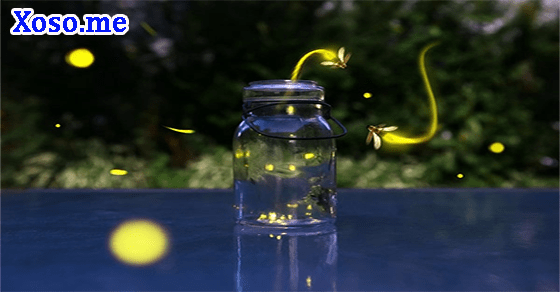 Giấc mơ thành hiện thực với giấc mơ đom đóm Giấc mơ thành hiện thực với giấc mơ đom đóm