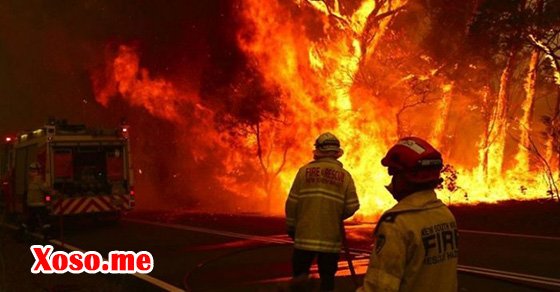 Ngủ mơ thấy cứu hỏa đánh con gì? Ngủ mơ thấy cứu hỏa đánh con gì?