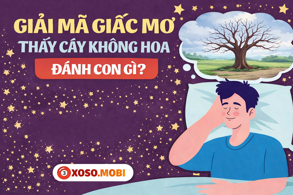 Phân tích các trường hợp chiêm bao cây không ra hoa và không có hoa