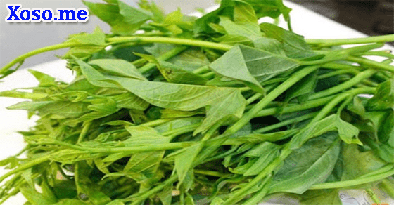 Ý nghĩa giấc mơ thấy rau lang Ý nghĩa giấc mơ thấy rau lang