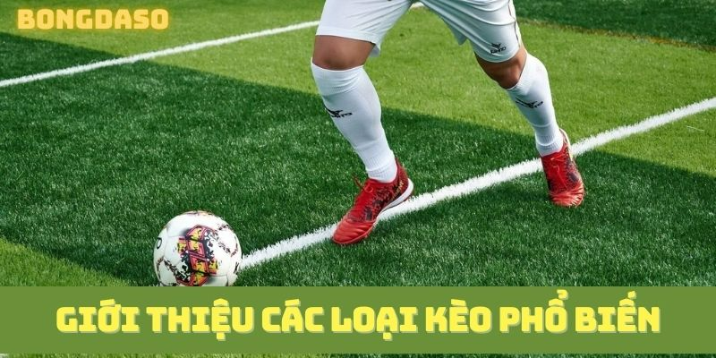  Một số loại kèo cần nắm bắt trước khi tìm hiểu mẹo cá cược bóng đá