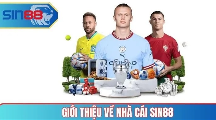  Tổng quan về SIN88