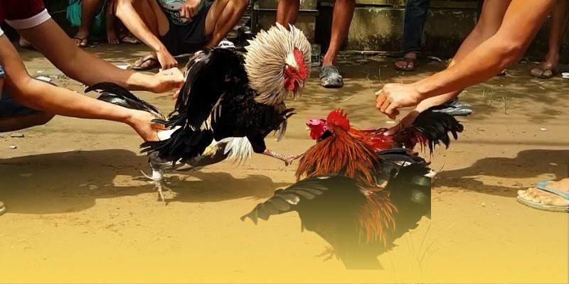  Quy trình chuyên nghiệp