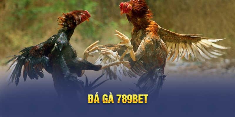  Đá gà online tại nhà cái 789Bet có những loại hình nào?