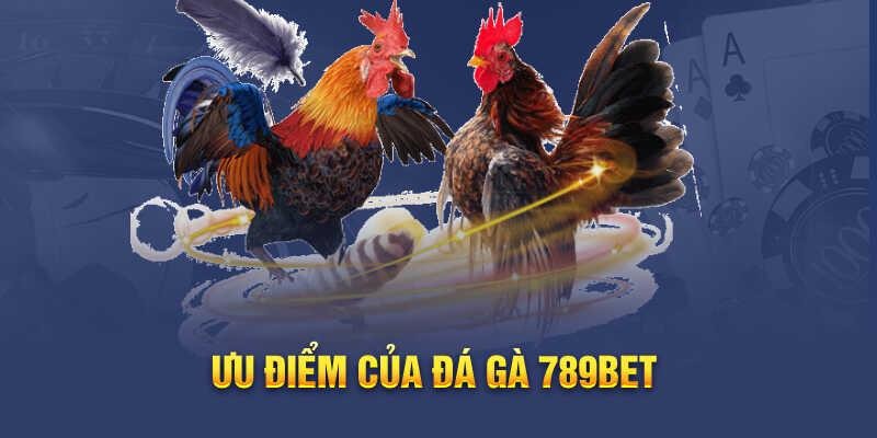  Kinh nghiệm chọn bàn cược đá gà dễ ăn tiền tại 789Bet