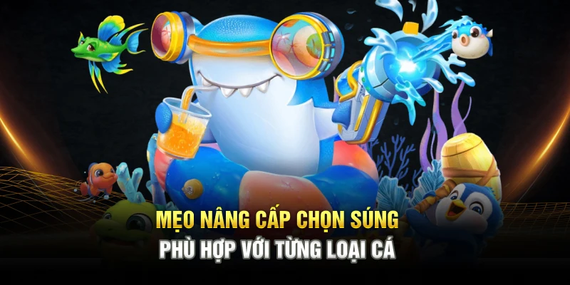 Mẹo nâng cấp chọn súng phù hợp với từng loại cá