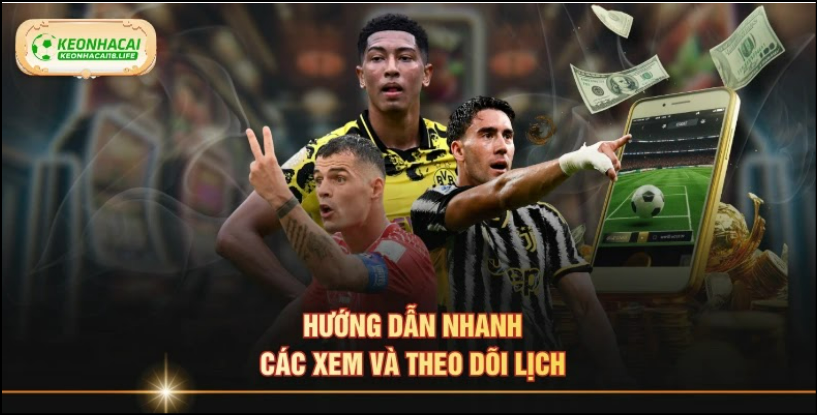 Hướng dẫn nhanh các xem và theo dõi lịch